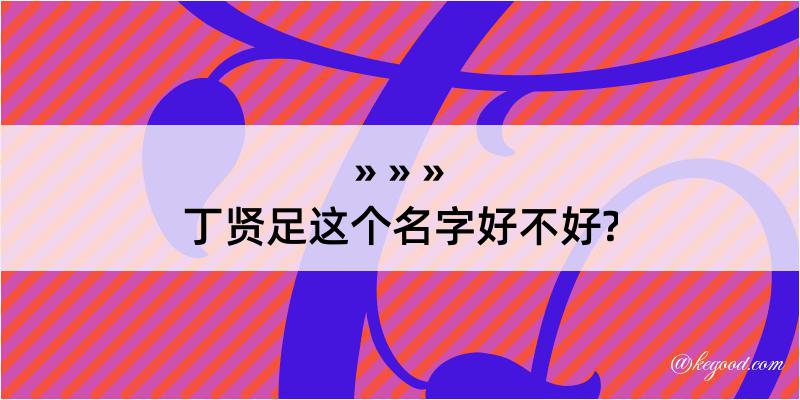 丁贤足这个名字好不好?