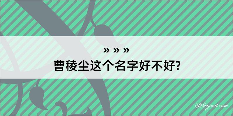 曹稜尘这个名字好不好?