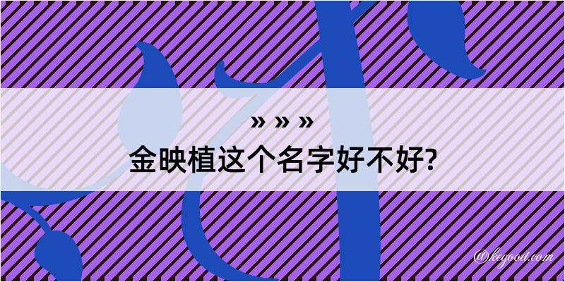 金映植这个名字好不好?