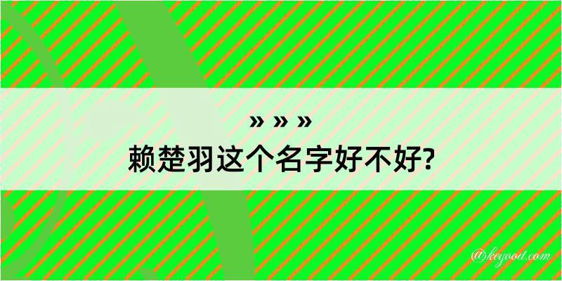 赖楚羽这个名字好不好?