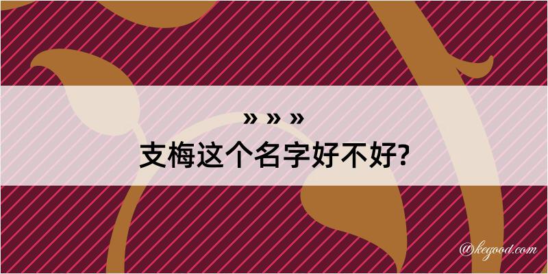 支梅这个名字好不好?