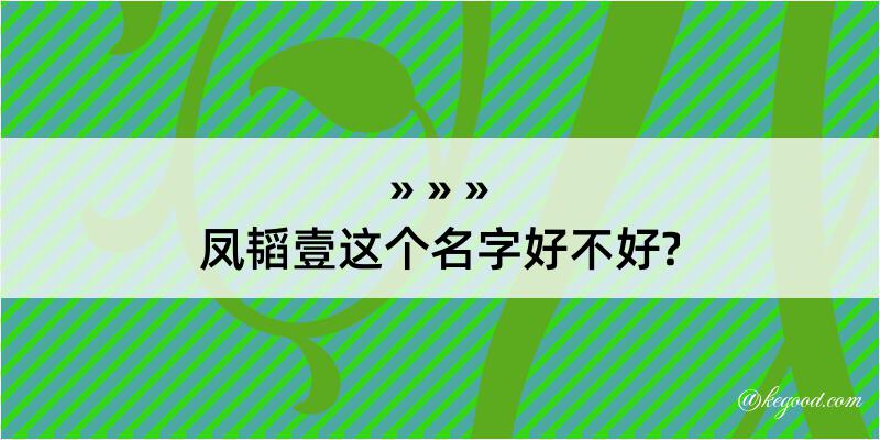 凤韬壹这个名字好不好?