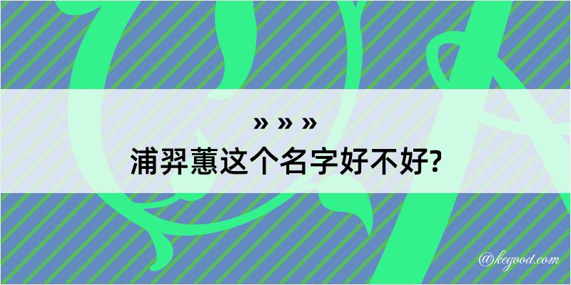 浦羿蕙这个名字好不好?