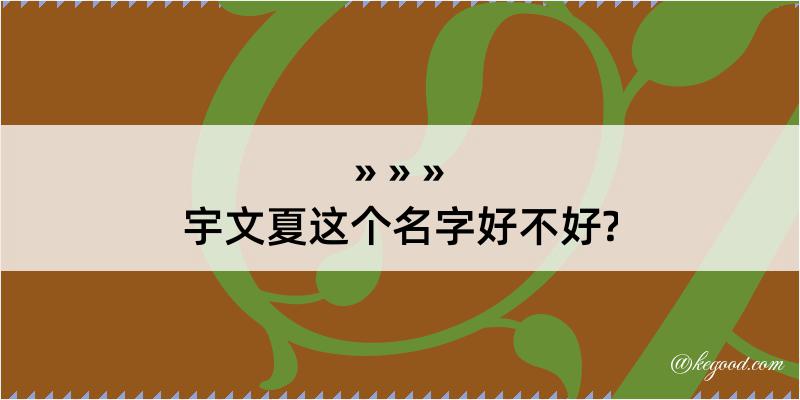 宇文夏这个名字好不好?