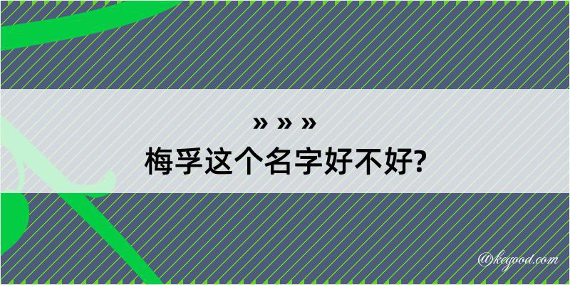 梅孚这个名字好不好?