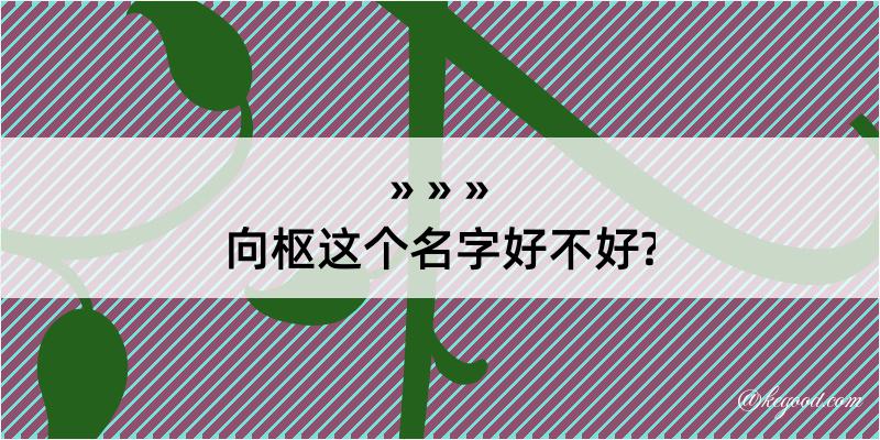 向枢这个名字好不好?