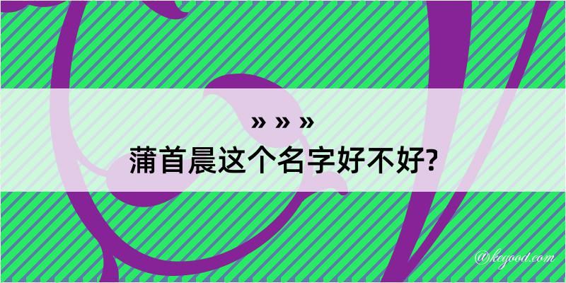 蒲首晨这个名字好不好?