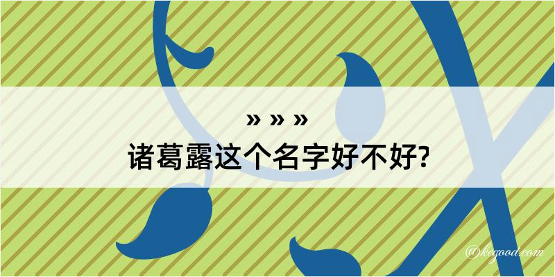 诸葛露这个名字好不好?