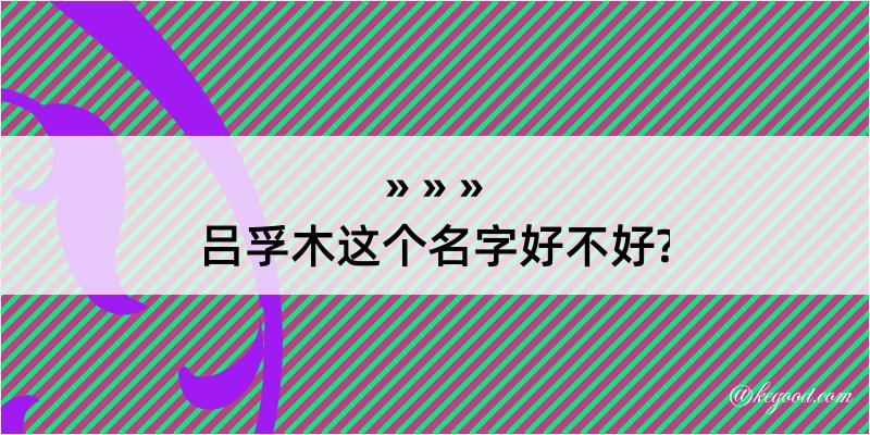 吕孚木这个名字好不好?