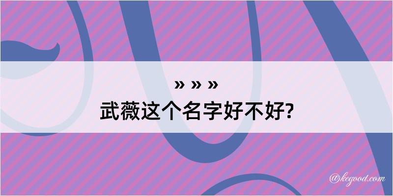 武薇这个名字好不好?