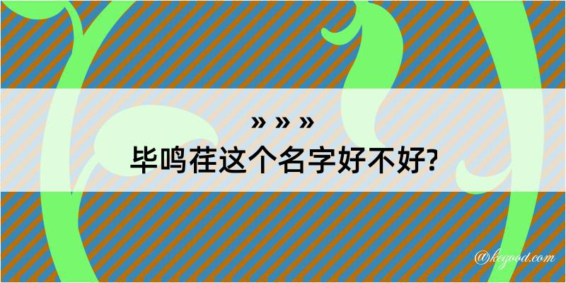 毕鸣荏这个名字好不好?