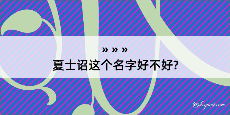 夏士诏这个名字好不好?