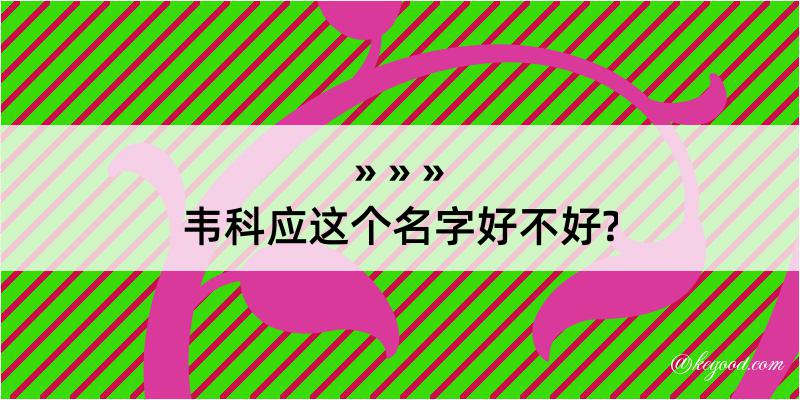 韦科应这个名字好不好?