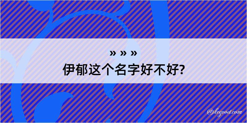 伊郁这个名字好不好?