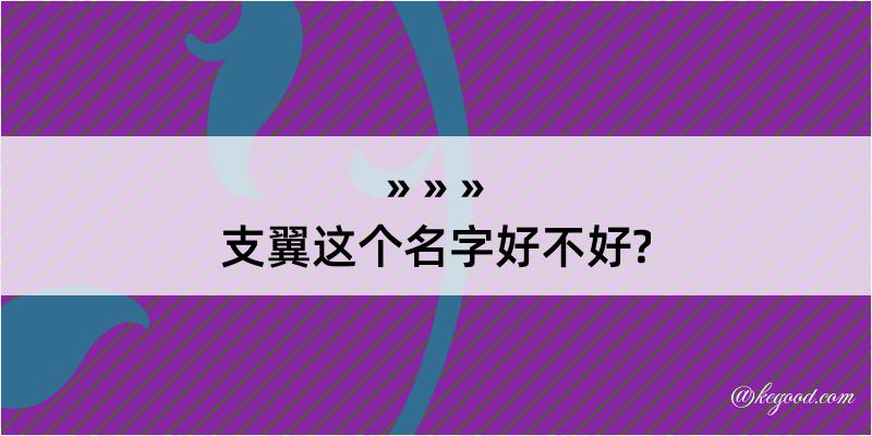 支翼这个名字好不好?