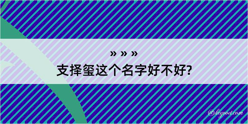 支择玺这个名字好不好?