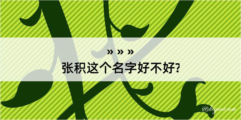 张积这个名字好不好?