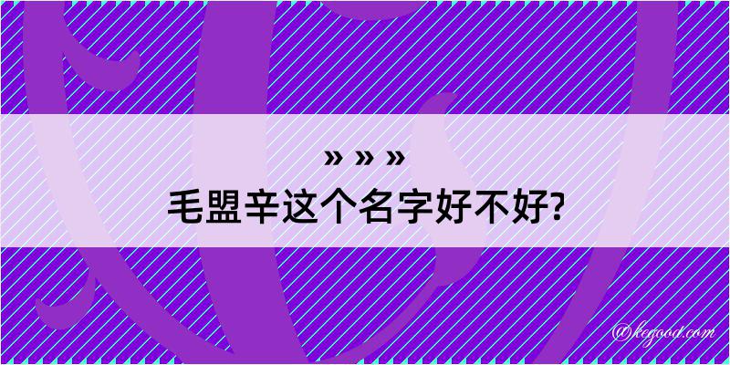 毛盟辛这个名字好不好?