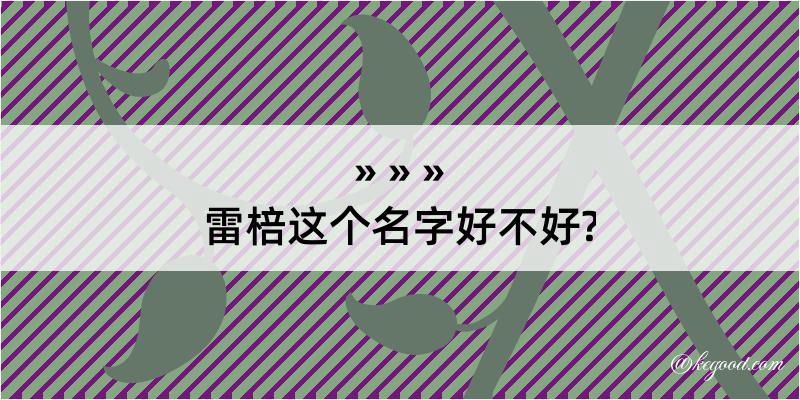 雷棓这个名字好不好?