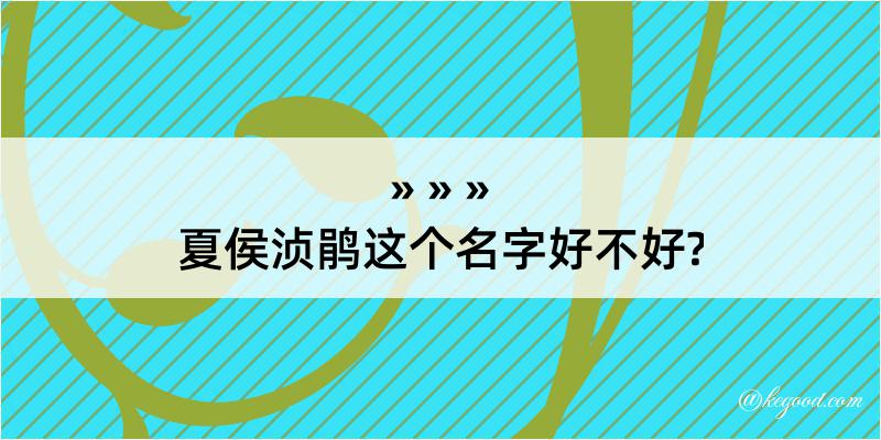 夏侯浈鹃这个名字好不好?