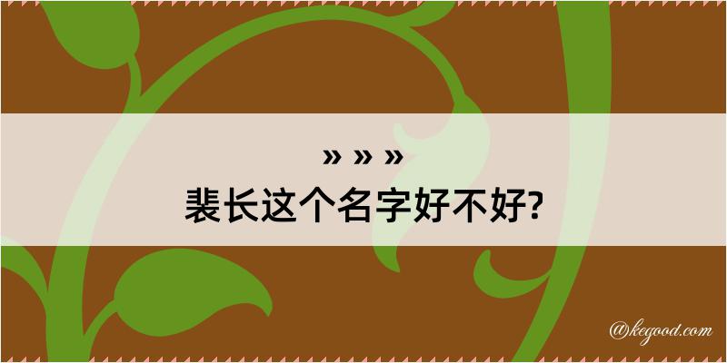 裴长这个名字好不好?