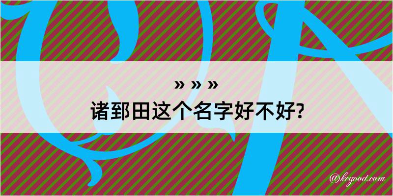 诸郅田这个名字好不好?