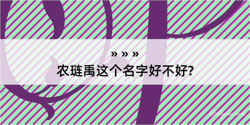 农琏禹这个名字好不好?