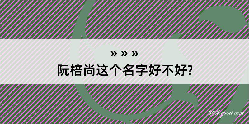 阮棓尚这个名字好不好?