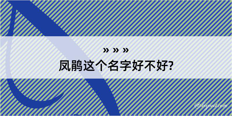 凤鹃这个名字好不好?