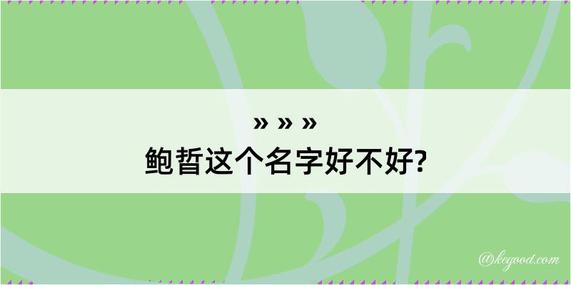 鲍晢这个名字好不好?