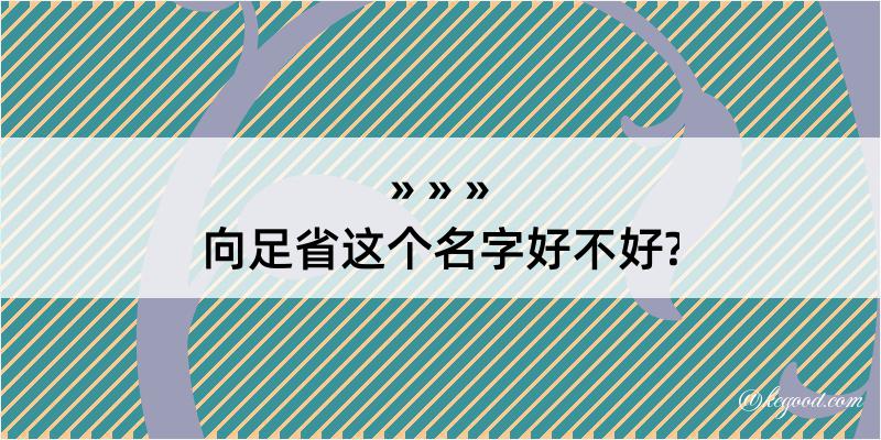 向足省这个名字好不好?