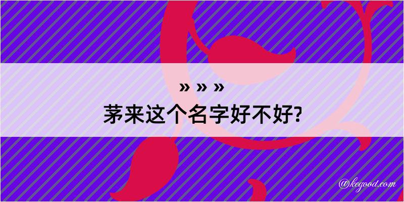 茅来这个名字好不好?