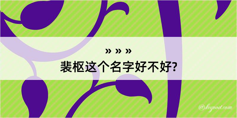 裴枢这个名字好不好?