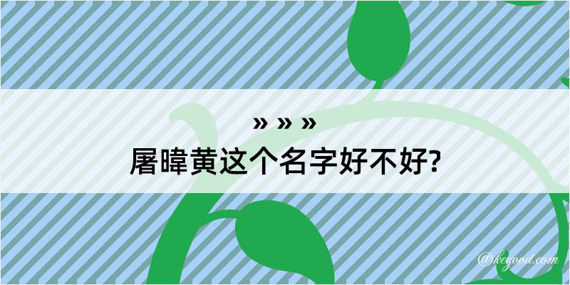 屠暐黄这个名字好不好?