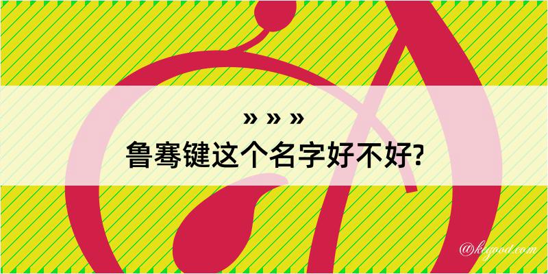 鲁骞键这个名字好不好?