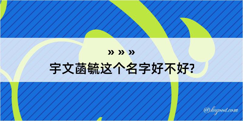 宇文菡毓这个名字好不好?