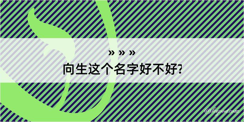 向生这个名字好不好?