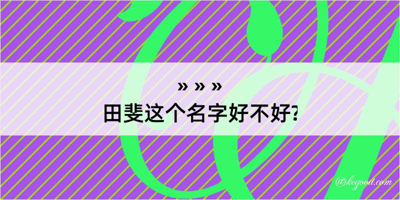 田斐这个名字好不好?