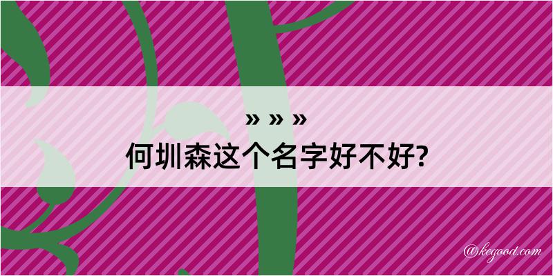 何圳森这个名字好不好?