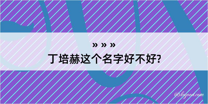 丁培赫这个名字好不好?