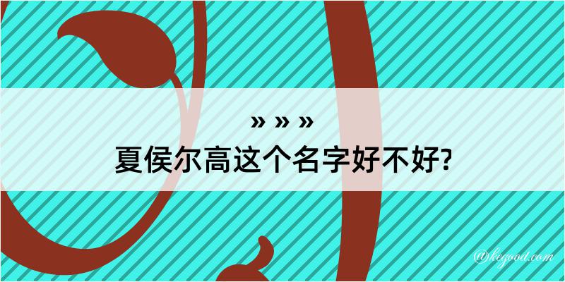 夏侯尔高这个名字好不好?