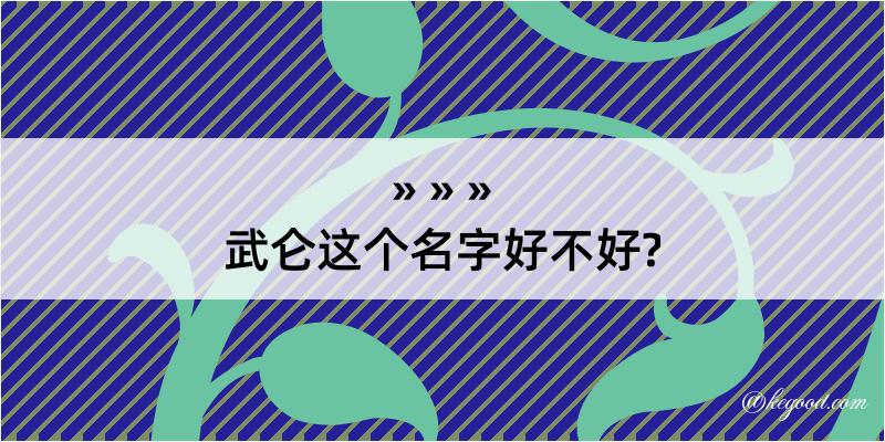 武仑这个名字好不好?