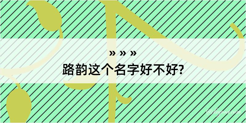 路韵这个名字好不好?