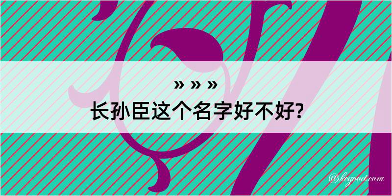 长孙臣这个名字好不好?