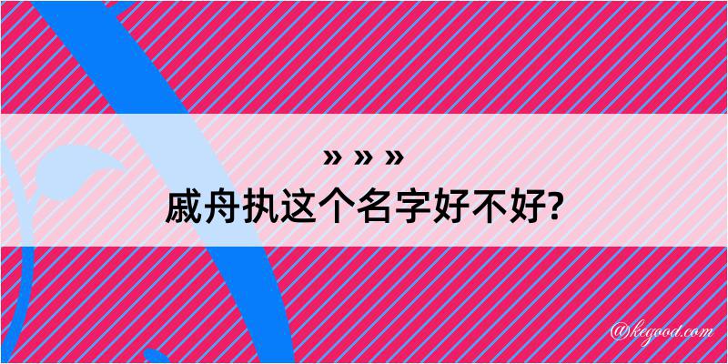 戚舟执这个名字好不好?