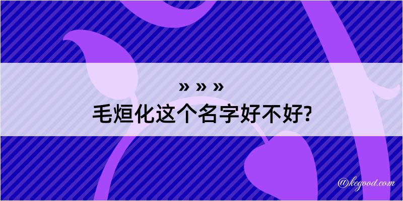 毛烜化这个名字好不好?