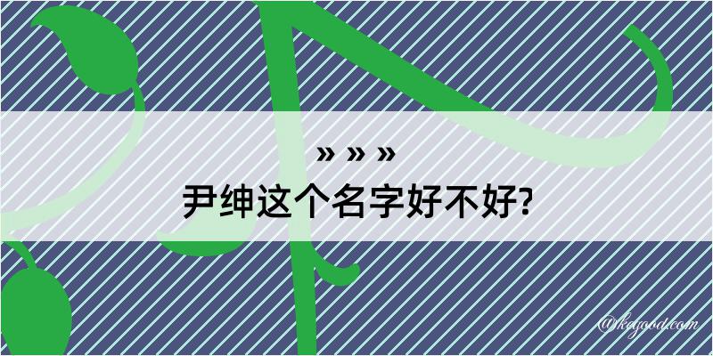 尹绅这个名字好不好?