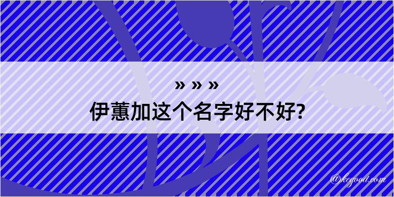 伊蕙加这个名字好不好?