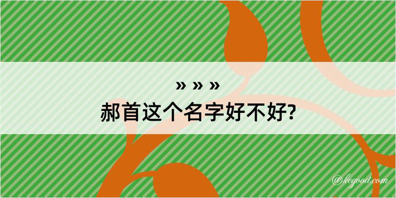 郝首这个名字好不好?