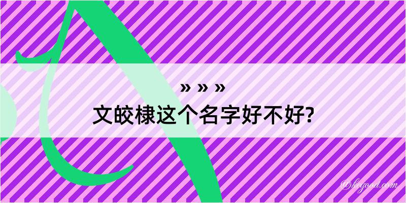 文皎棣这个名字好不好?